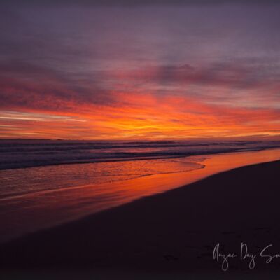 2V8A9190web Thumbnail